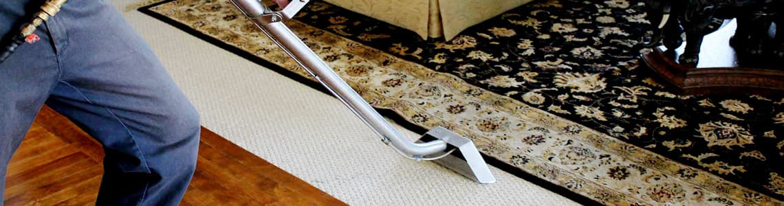 Professional Rug Cleaning Services